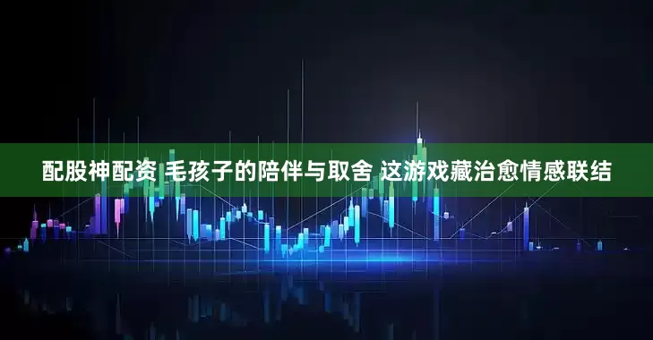 配股神配资 毛孩子的陪伴与取舍 这游戏藏治愈情感联结